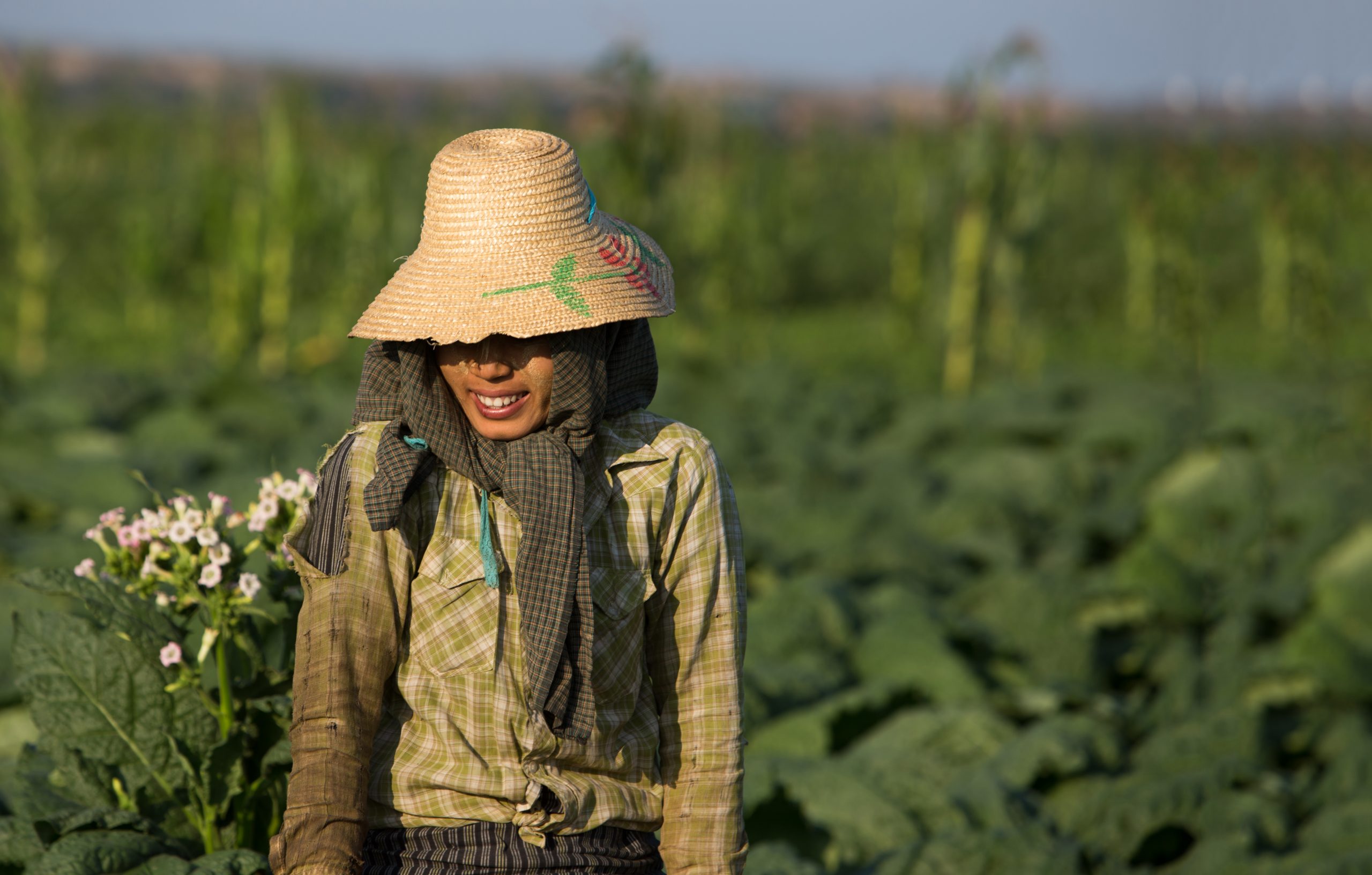 Contact Us | ADRA Myanmar